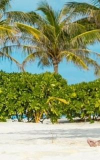 Шлюха Лика 58534