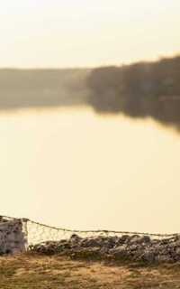 Шлюха Нелли 57006